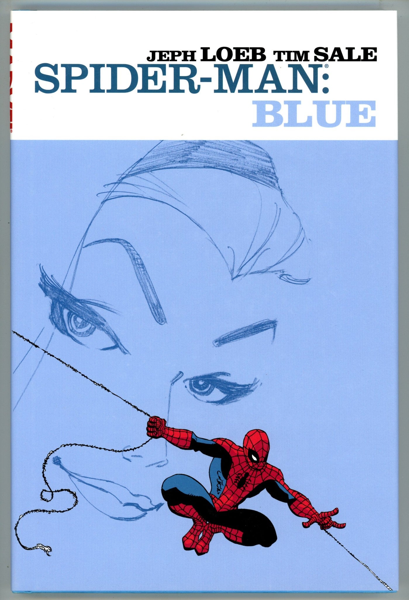 Spider-Man: Blue HC High Grade (2003) 