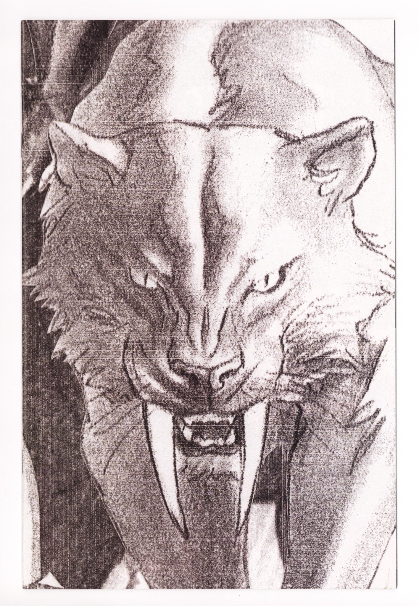 Black Cat Vol 3 2 NM- (9.2) (2025) Ross Timeless Sketch Virgin Incentive Variant 