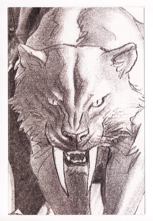 Black Cat Vol 3 2 NM- (9.2) (2025) Ross Timeless Sketch Virgin Incentive Variant