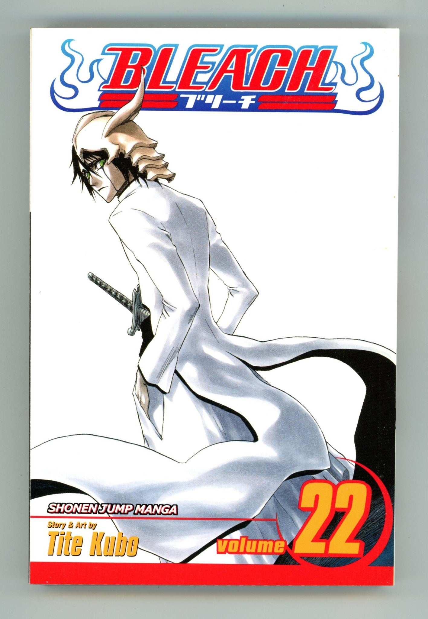 Bleach Vol 22 High Grade TPB (2008) 