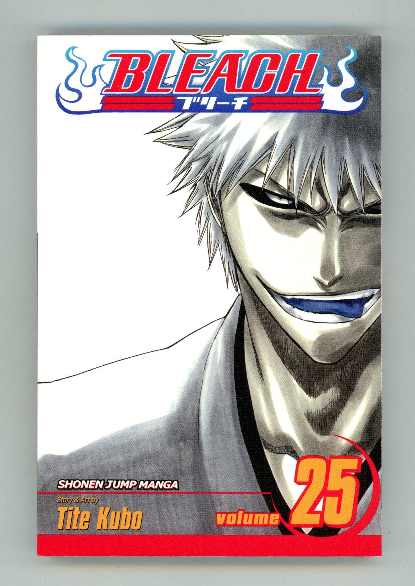 Bleach Vol 25 High Grade TPB (2008) 