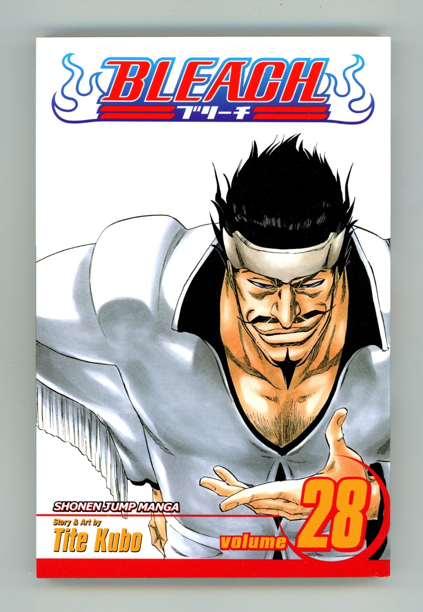 Bleach Vol 28 High Grade TPB (2009) 