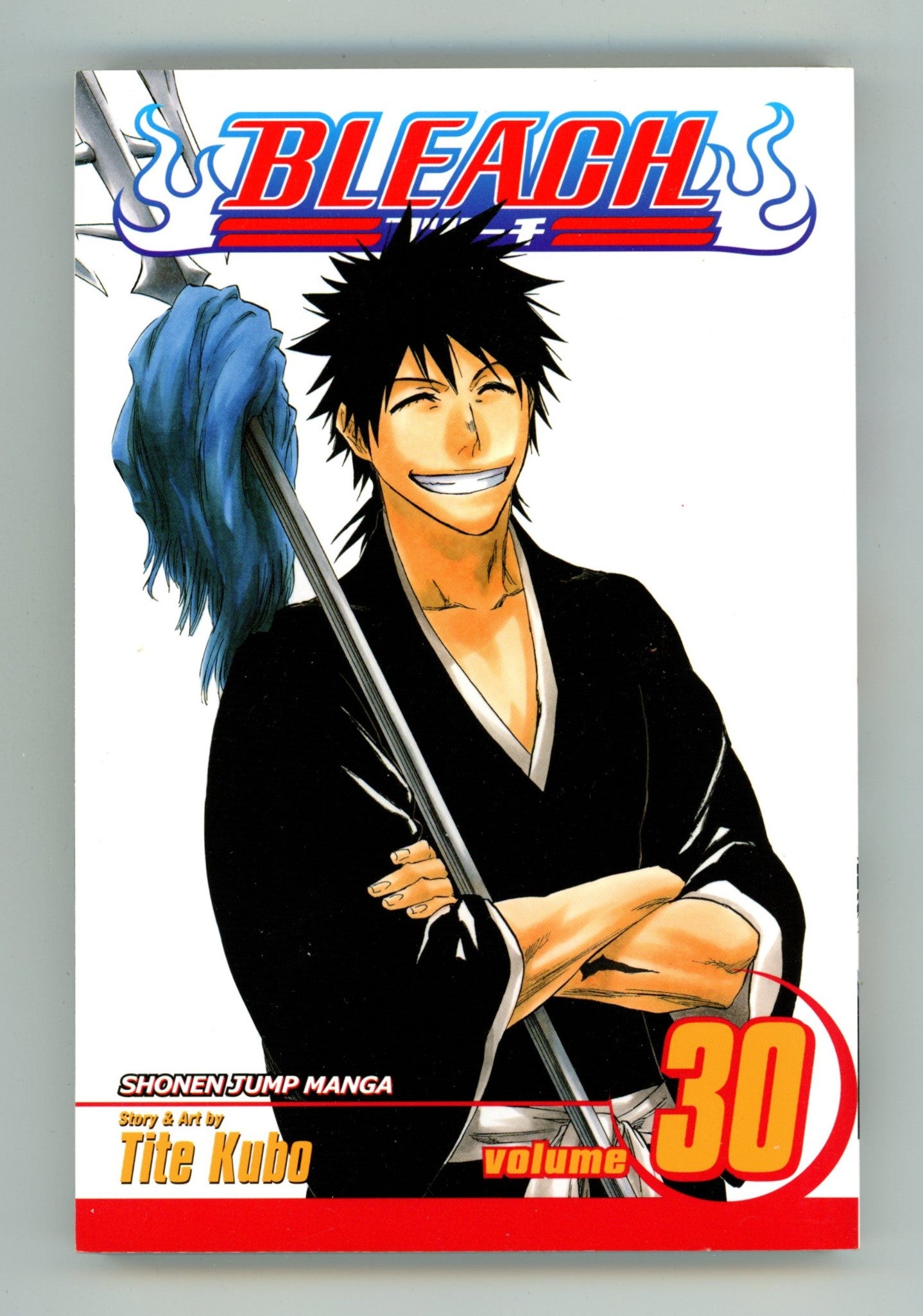 Bleach Vol 30 High Grade TPB (2010) 
