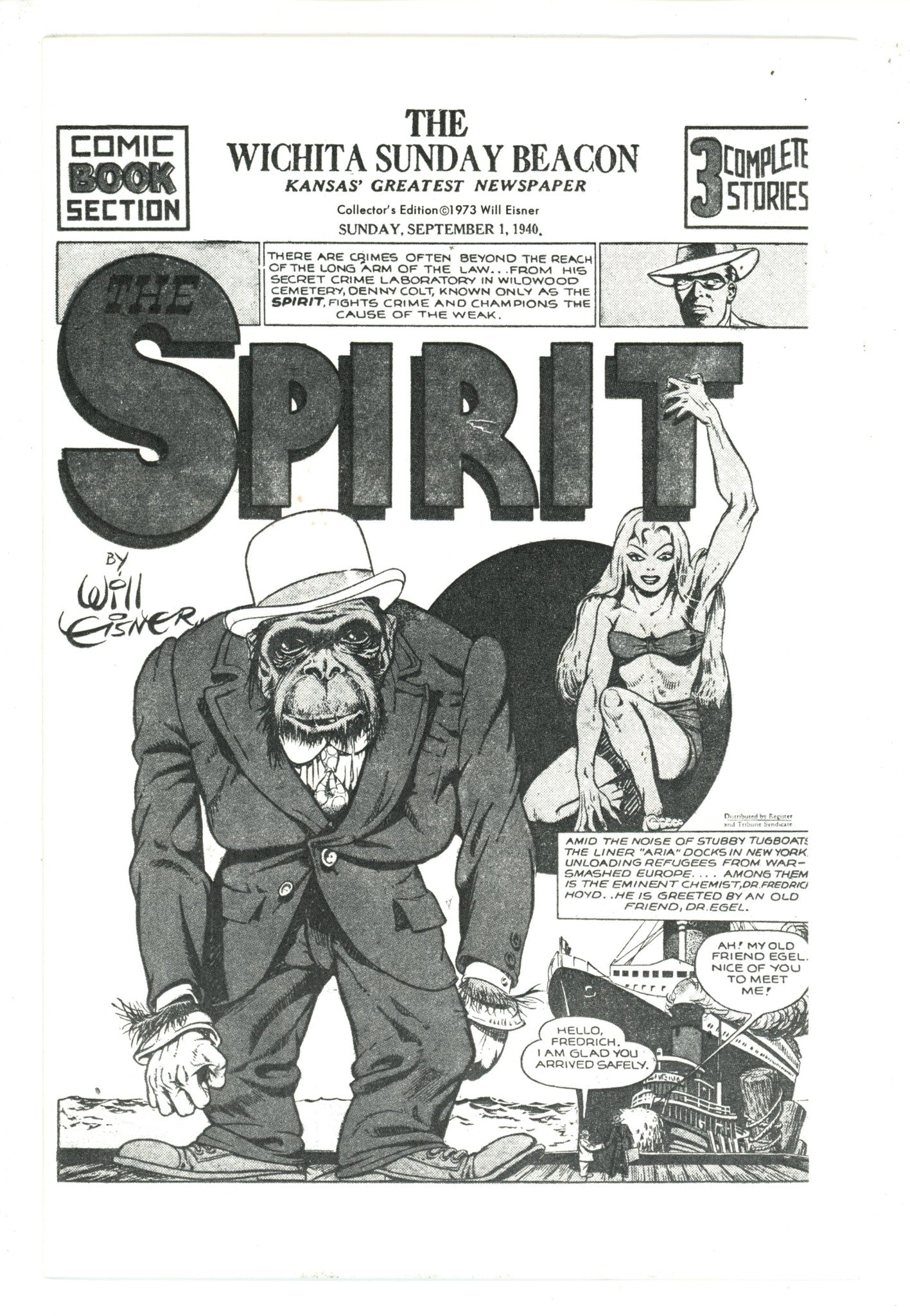 The Spirit: The "Adult" Theme [nn] Collector'S Edition (1973)