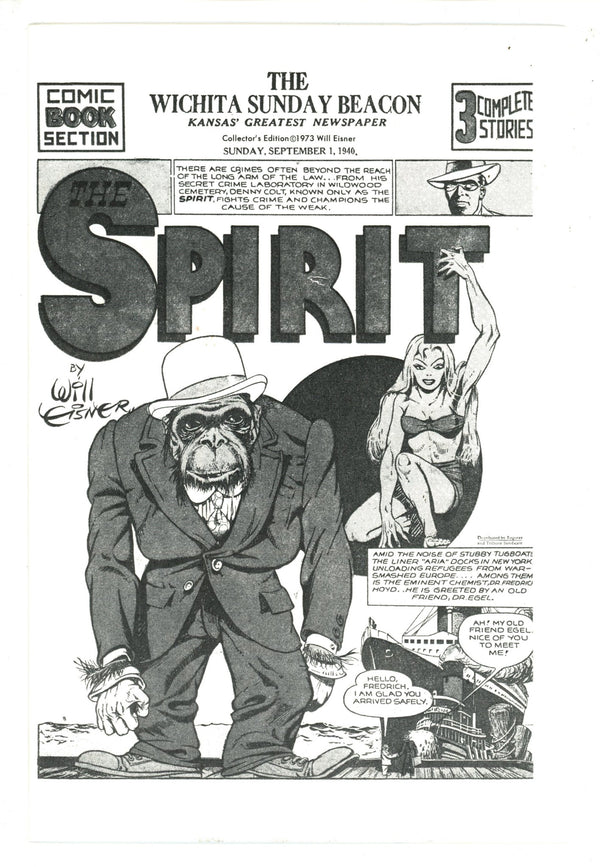 The Spirit: The "Adult" Theme [nn] Collector'S Edition (1973)