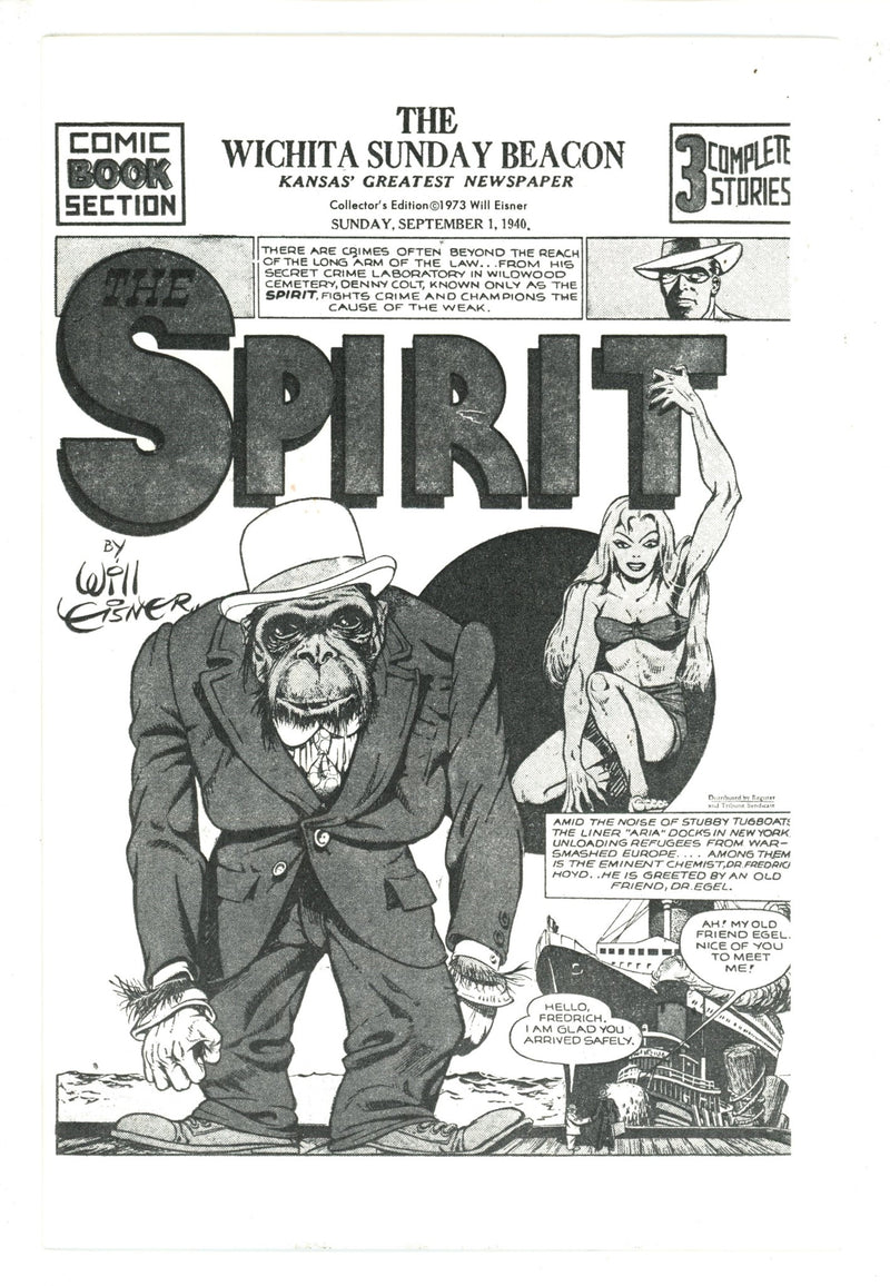 The Spirit: The "Adult" Theme [nn] Collector'S Edition (1973)
