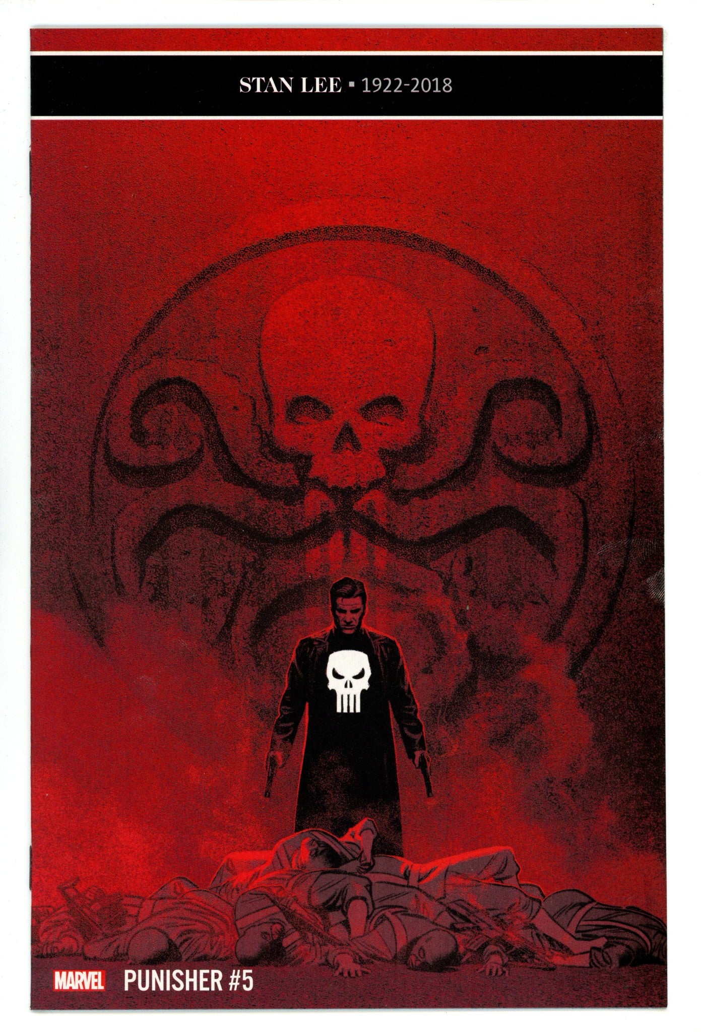 The Punisher Vol 12 5 (233) Mid Grade (2019) 