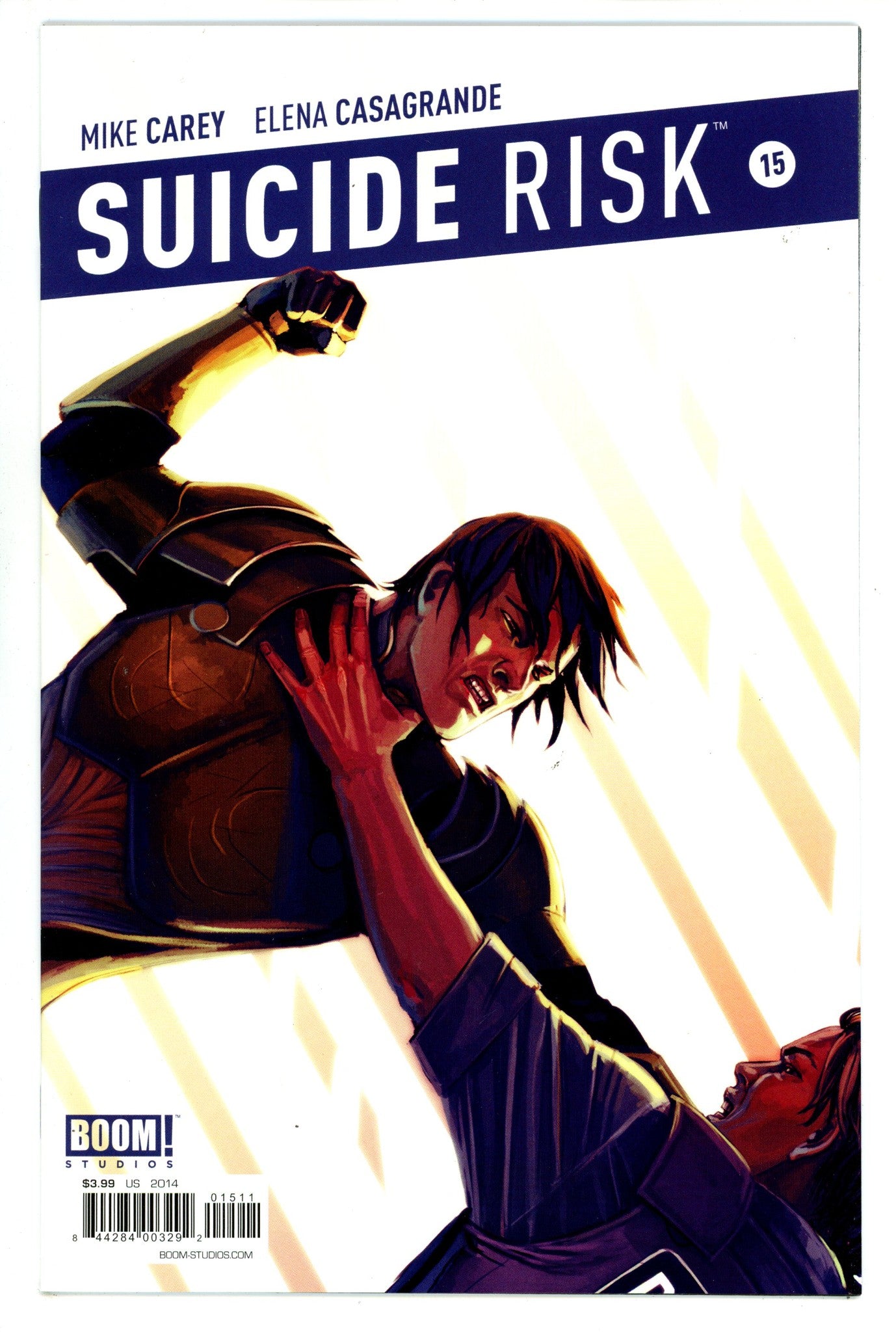 Suicide Risk 15 High Grade (2014) 