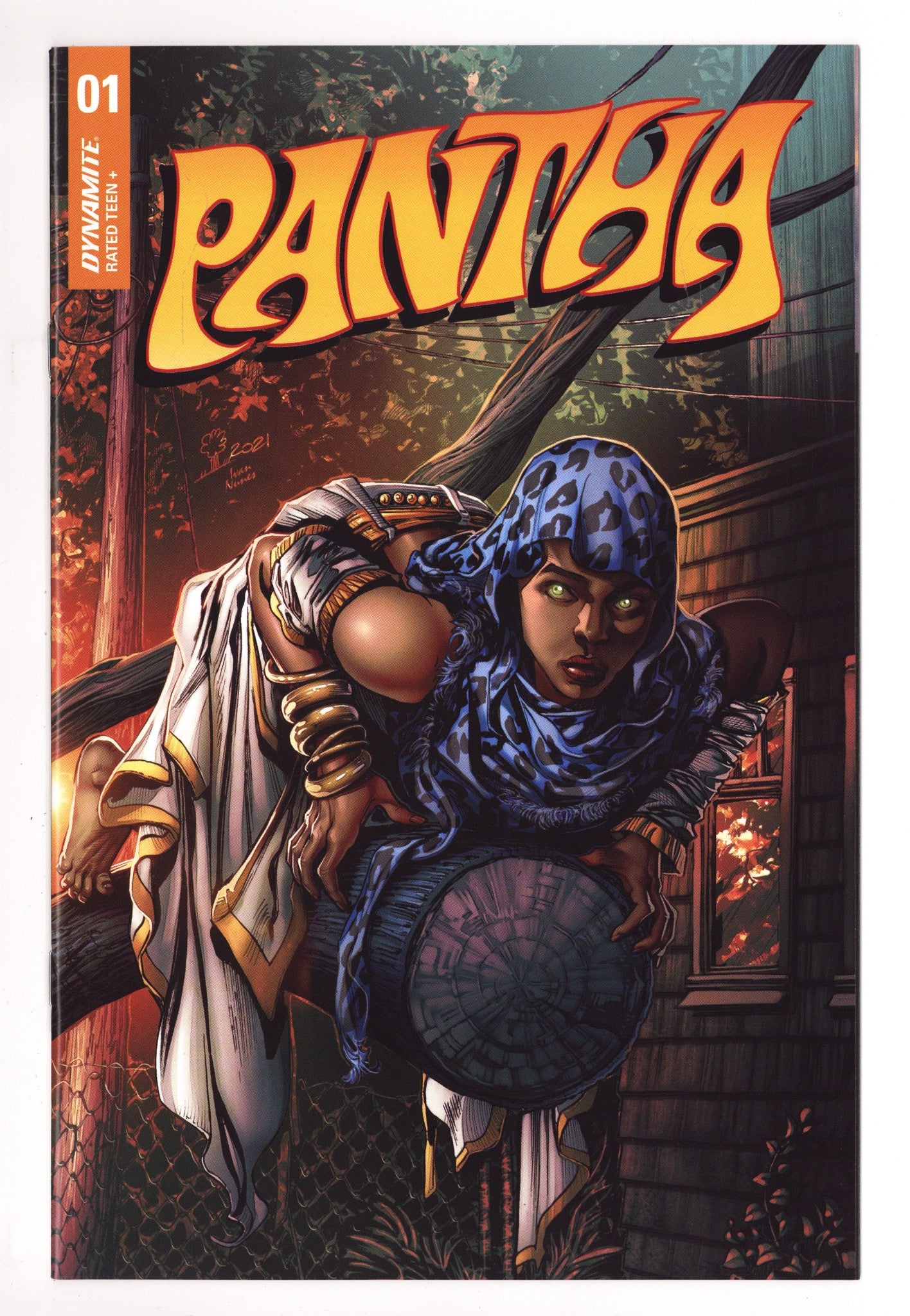 Pantha Vol 2 1  High Grade   (2022) Pianta     Variant  