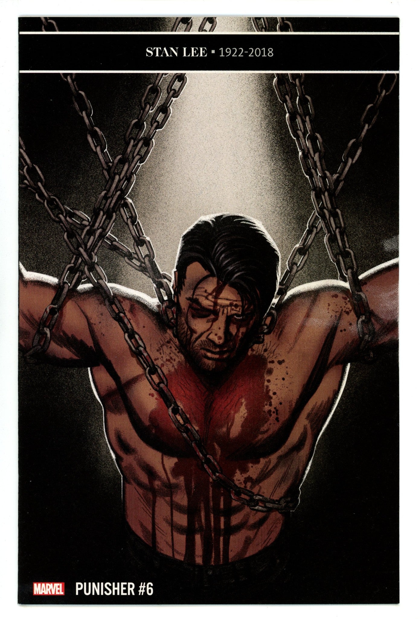 The Punisher Vol 12 6 (234) Mid Grade (2019) 
