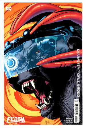 Flash Vol 6 6 Jr. Variant (2024)