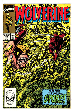 Wolverine Vol 2 22 Mid Grade (1990)