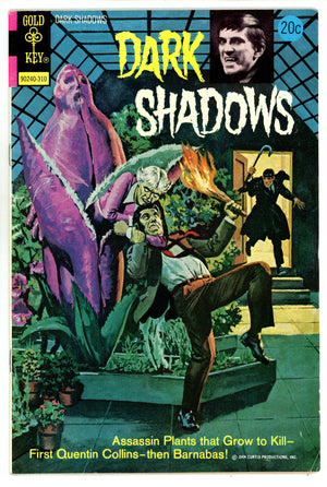 Dark Shadows 22 FN/VF (7.0) (1973) 