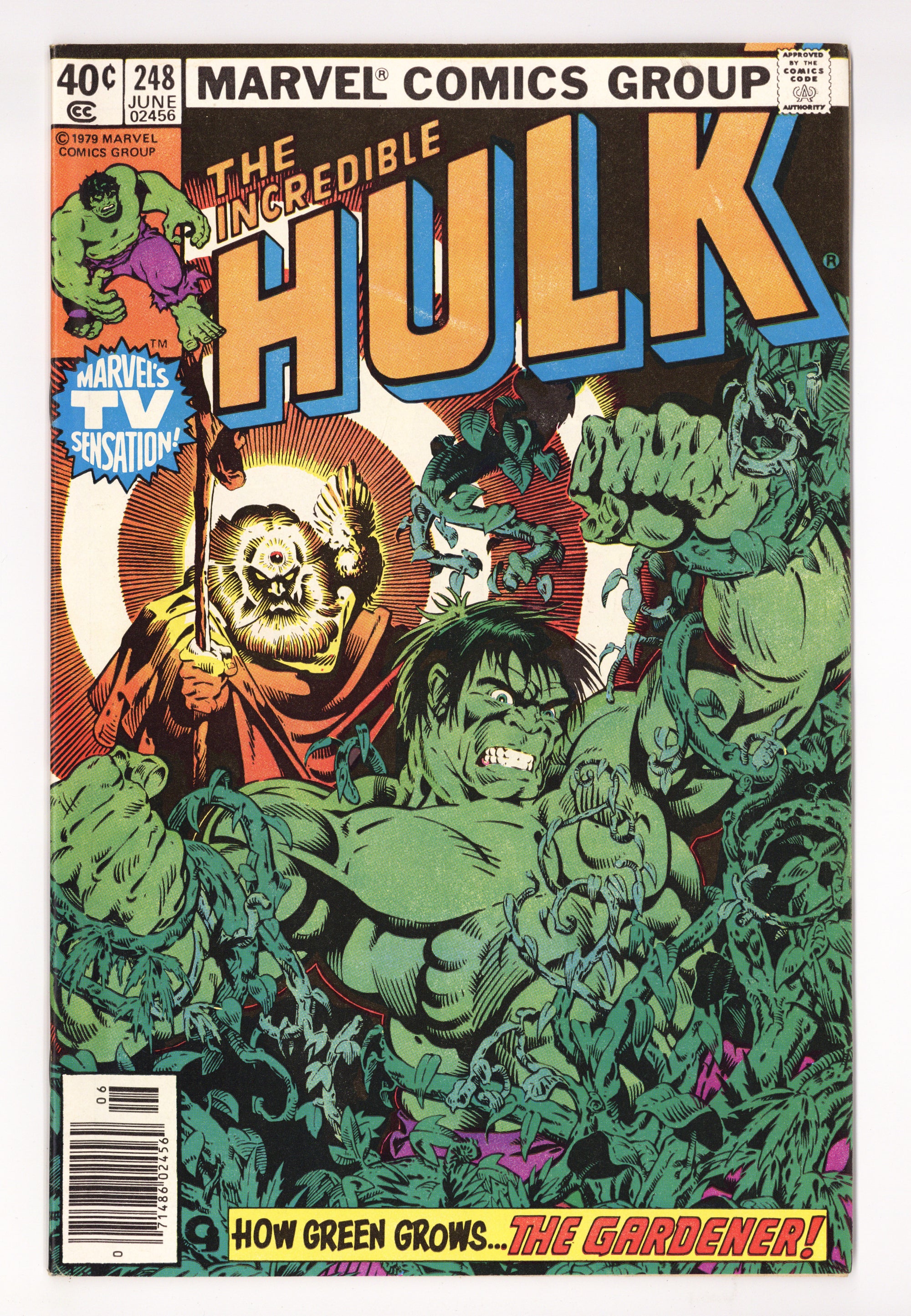 The Incredible Hulk Vol 1 248 Mid Grade (1980) Newsstand 