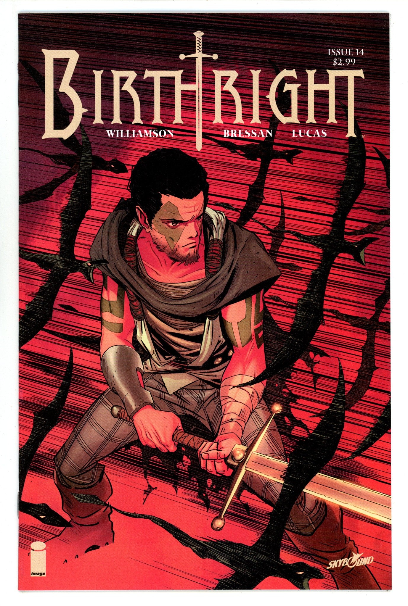 Birthright 14 High Grade (2016) Dragotta Variant 