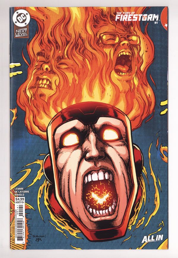 Fury Of Firestorm Vol 2 1 Burnham Variant (2026)