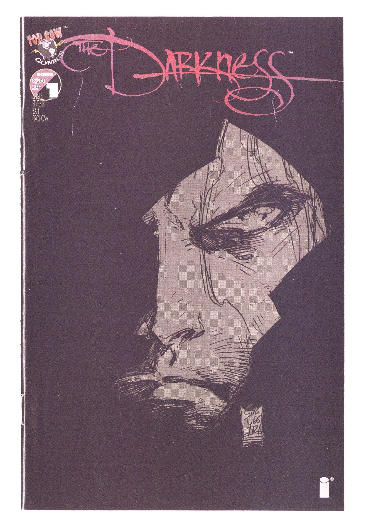 The Darkness Vol 1 1 High Grade (1996) 