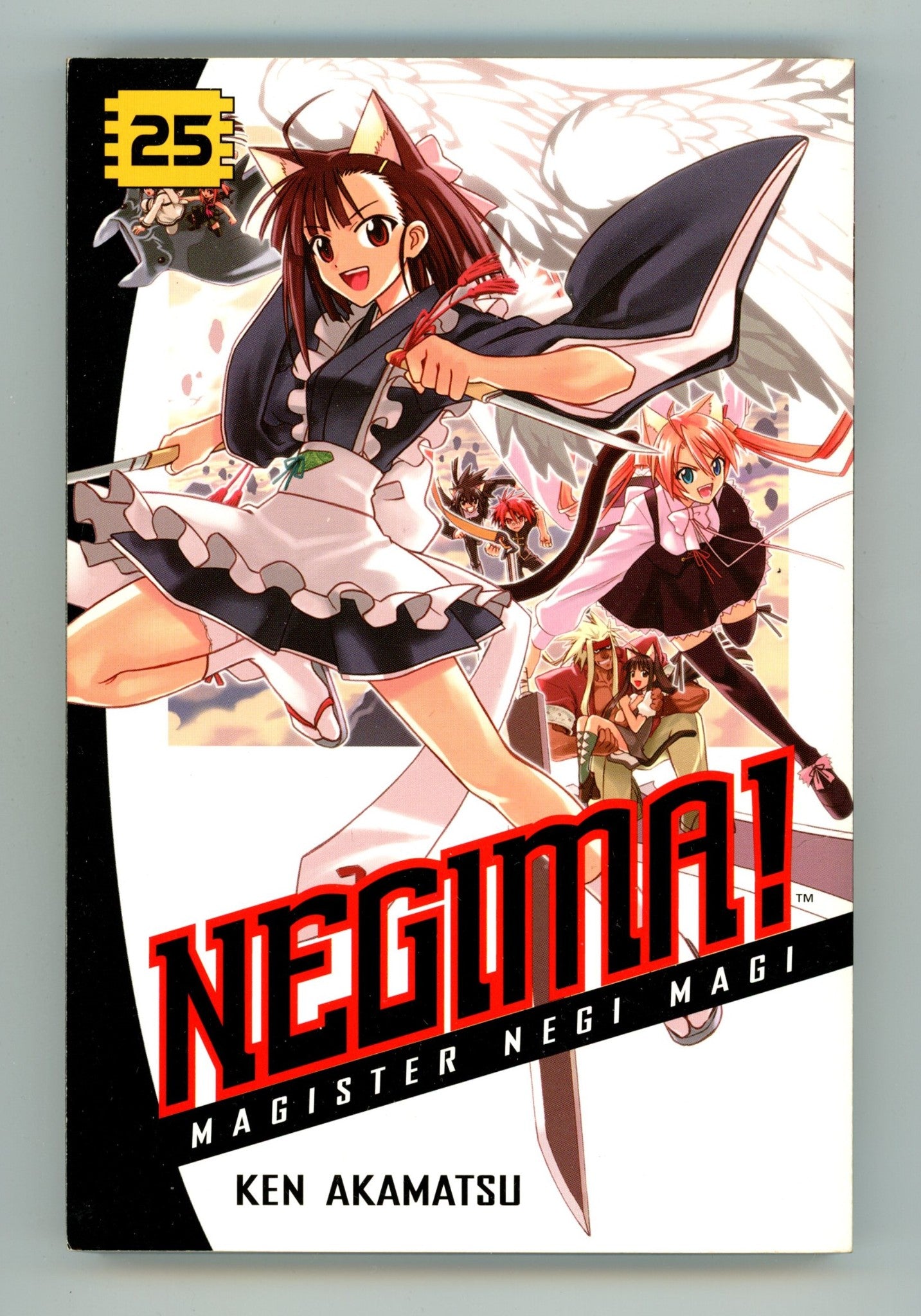 Negima! Magister Negi Magi Vol 25 High Grade TPB (2010) 