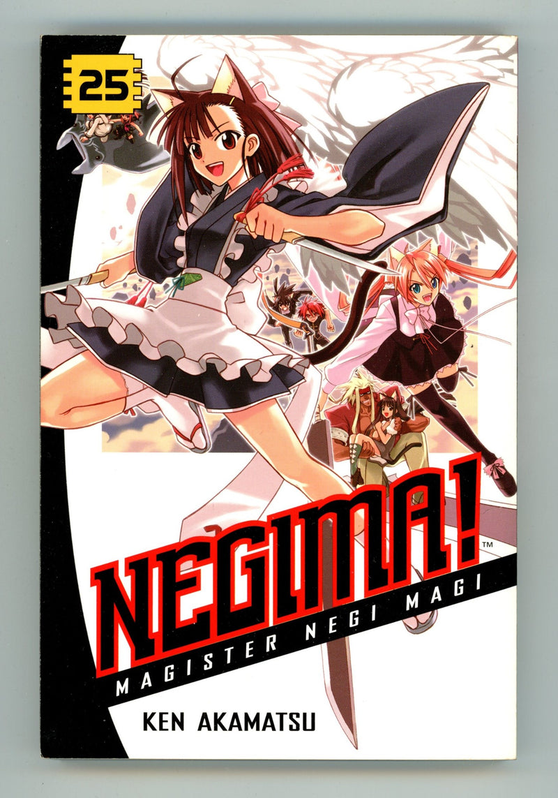 Negima! Magister Negi Magi Vol 25 High Grade TPB (2010) 