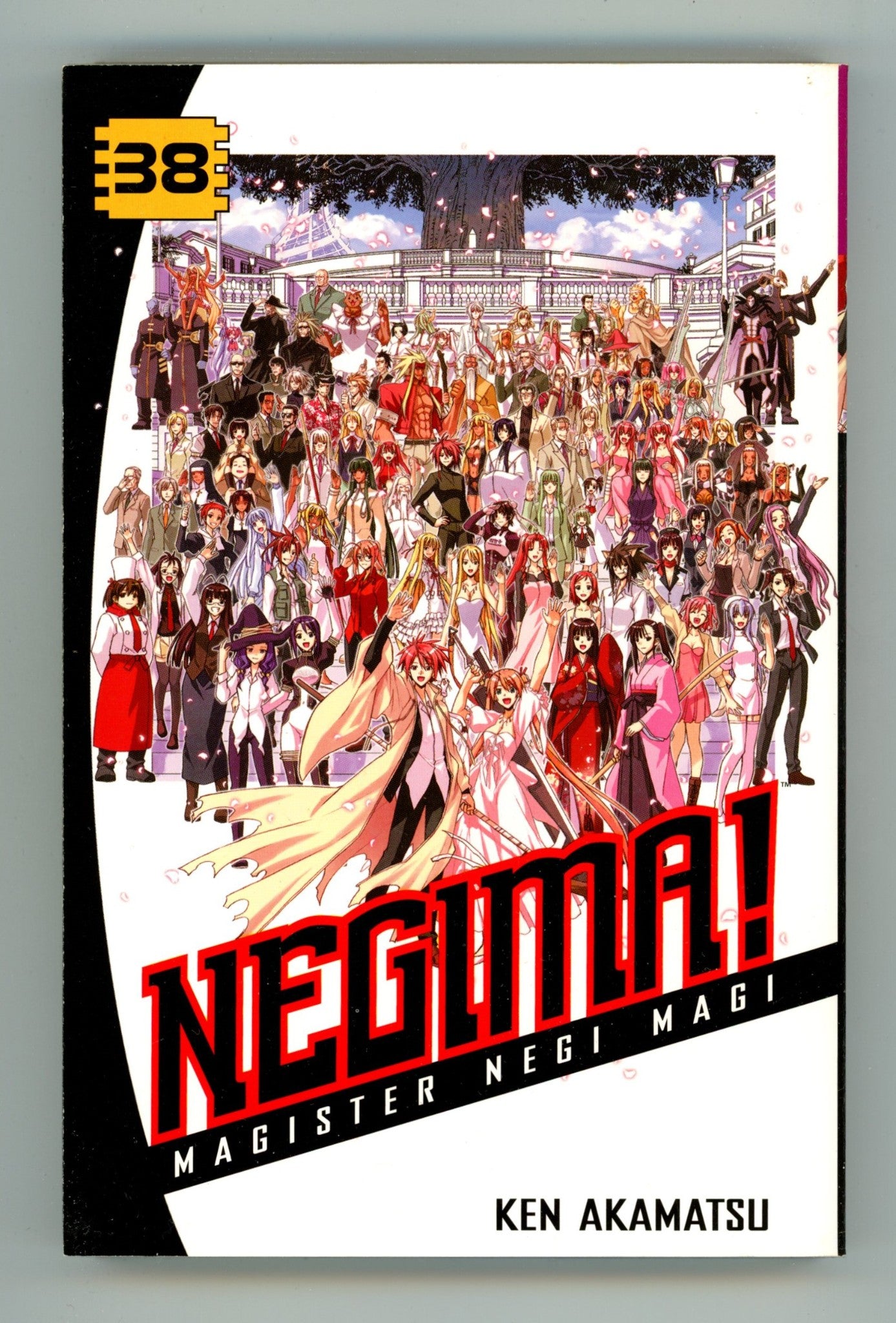 Negima! Magister Negi Magi Vol 38 Mid Grade TPB (2013) 