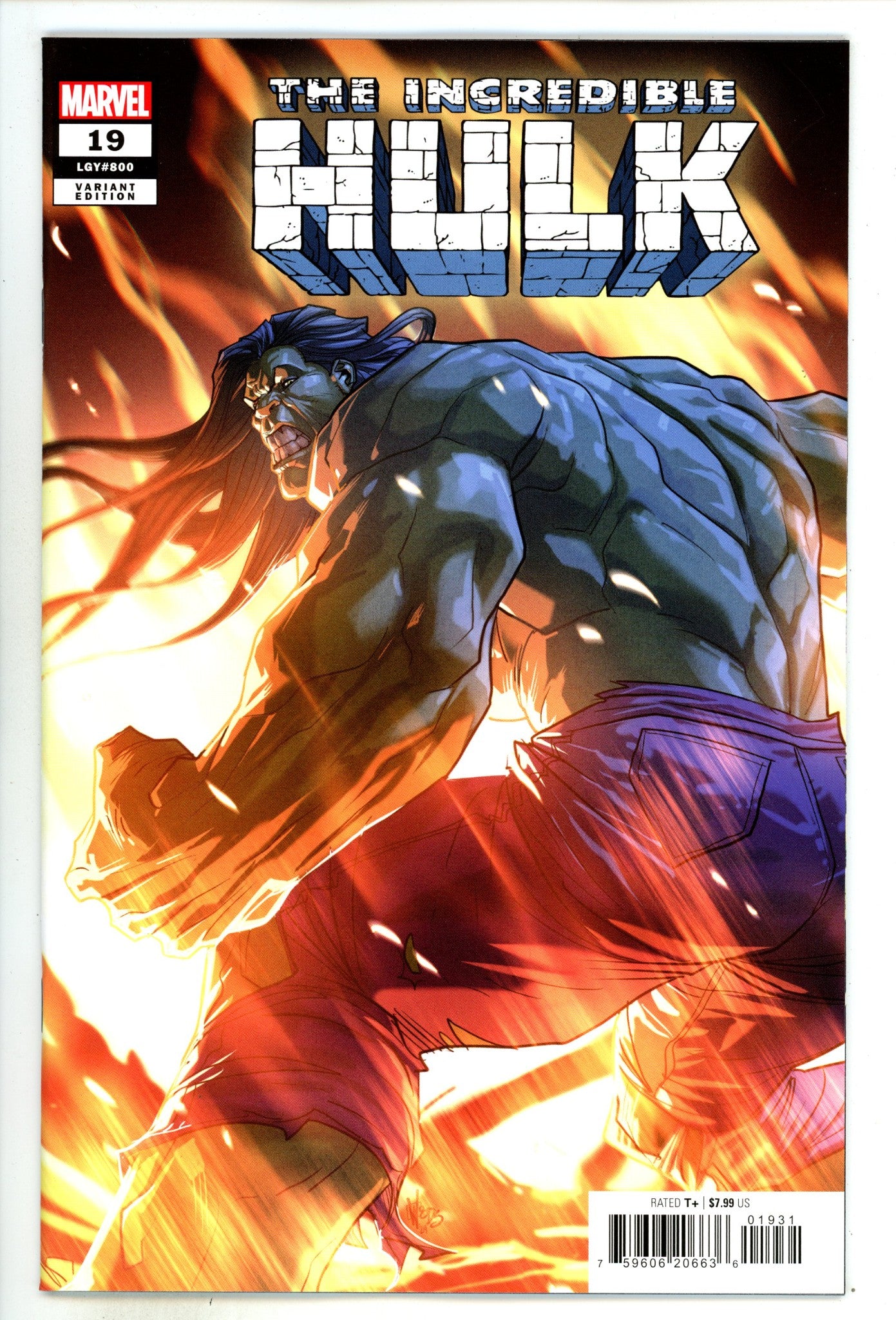 Incredible Hulk Vol 4 19 Woods Variant (2024)