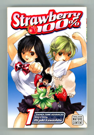 Strawberry 100% Vol 1 High Grade TPB (2007) 