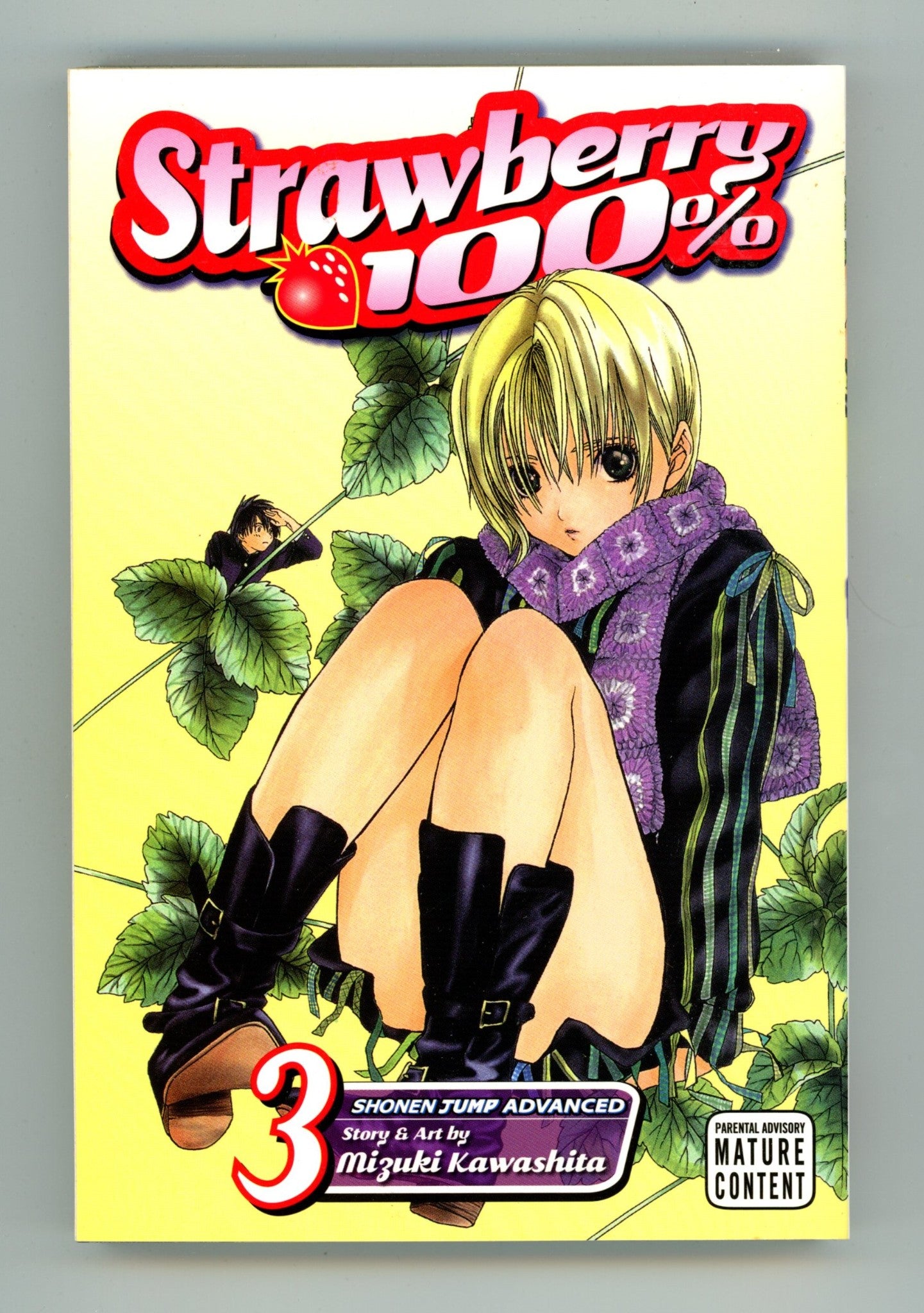 Strawberry 100% Vol 3 High Grade TPB (2008) 