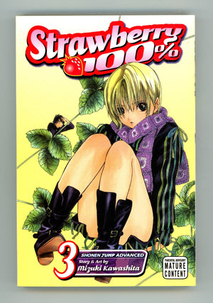 Strawberry 100% Vol 3 High Grade TPB (2008) 