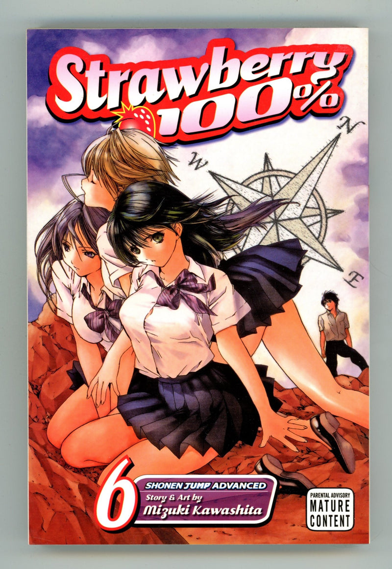 Strawberry 100% Vol 6 High Grade TPB (2008) 