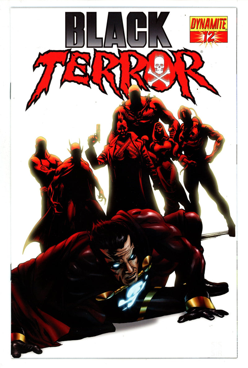 Black Terror 12 High Grade (2010) Sadowski Variant 