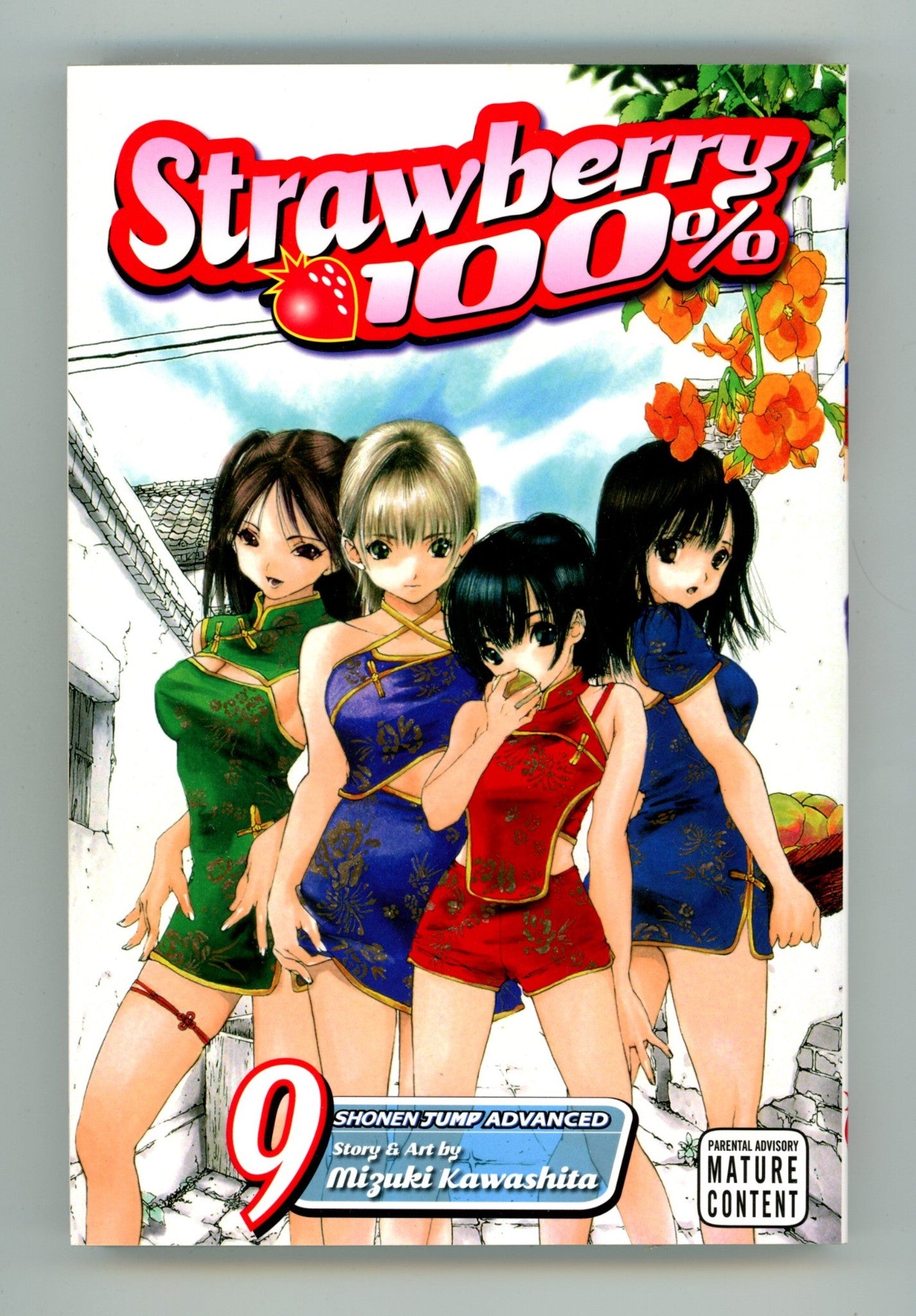 Strawberry 100% Vol 9 High Grade TPB (2009) 