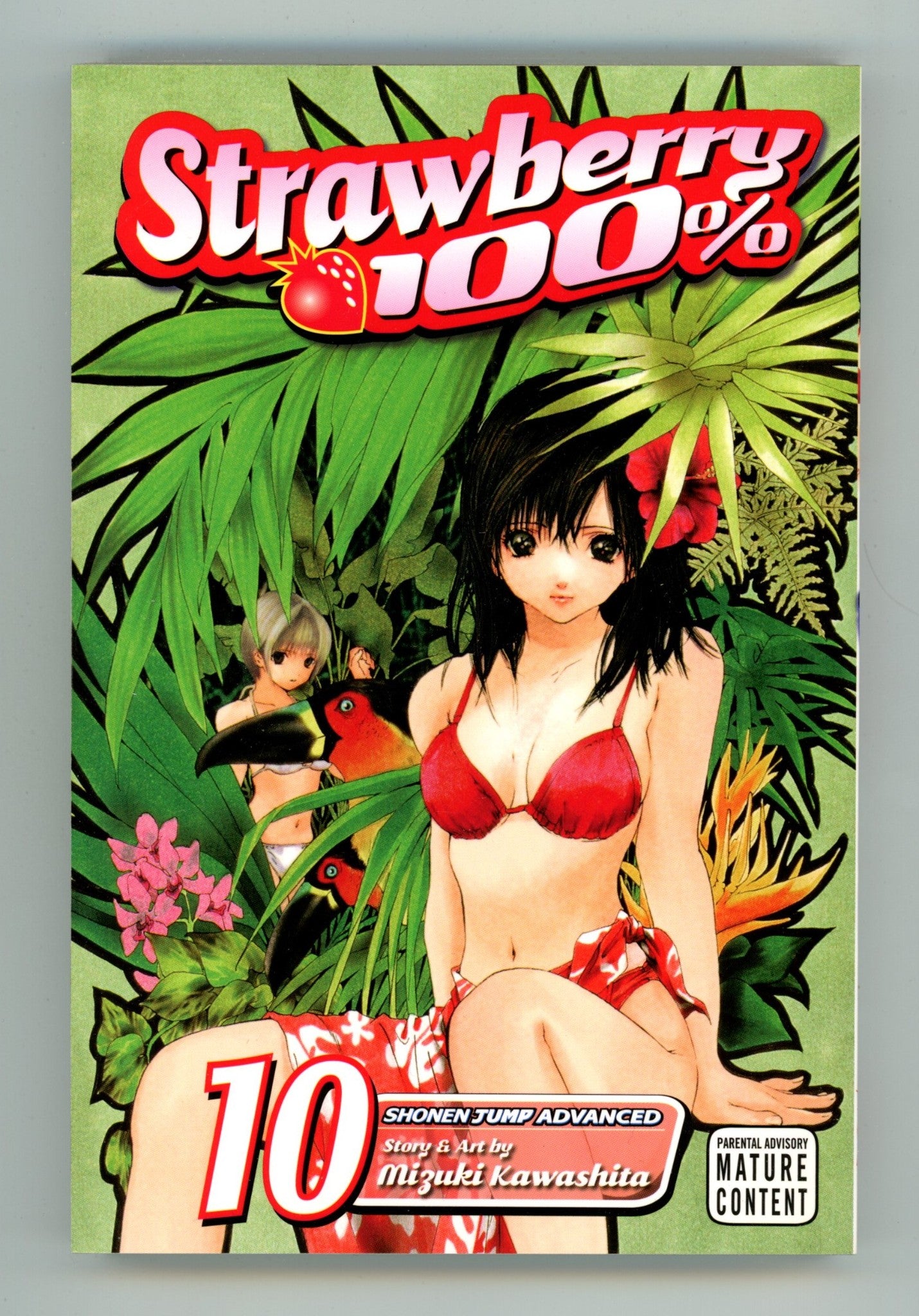 Strawberry 100% Vol 10 High Grade TPB (2009) 