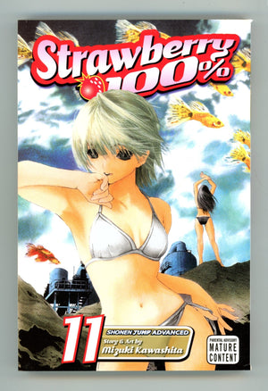 Strawberry 100% Vol 11 High Grade TPB (2010) 