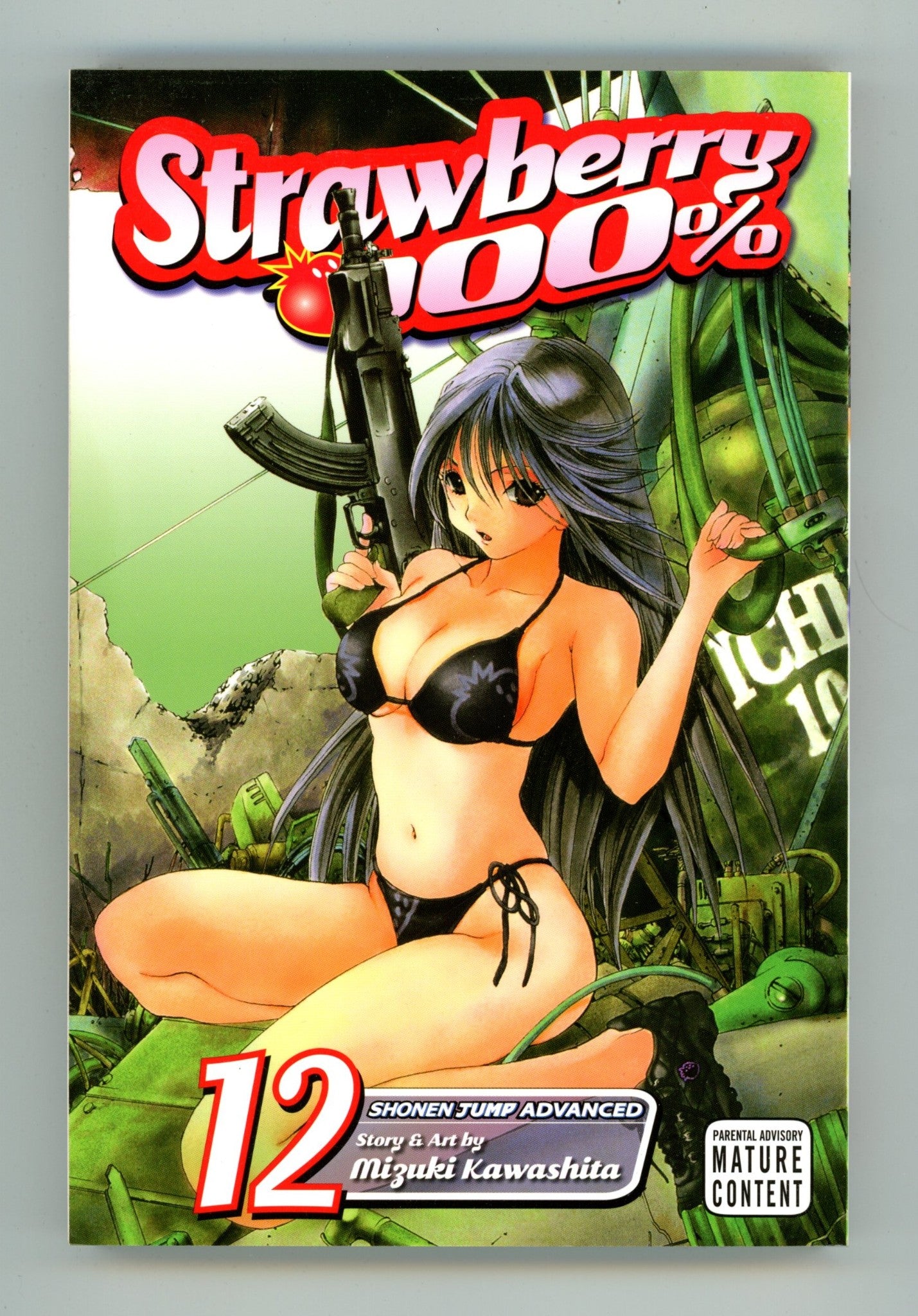 Strawberry 100% Vol 12 High Grade TPB (2010) 