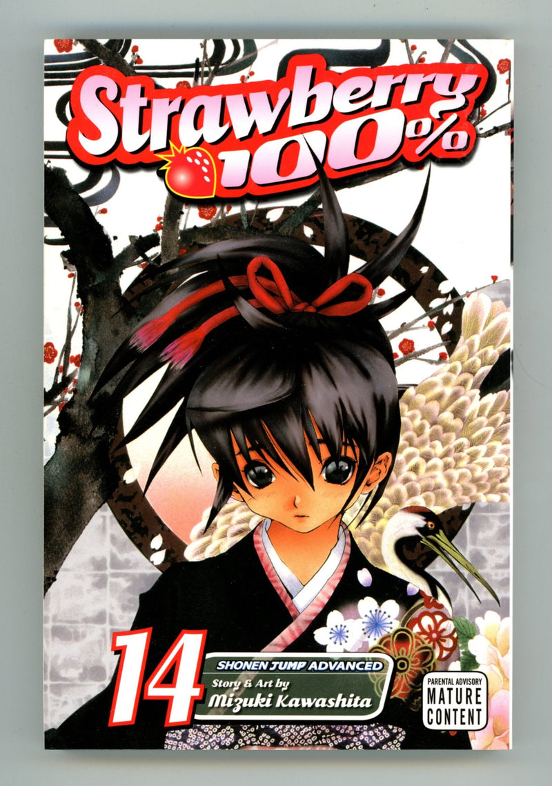 Strawberry 100% Vol 14 High Grade TPB (2010) 