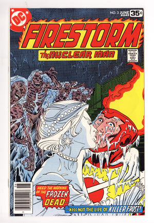 Firestorm Vol 1 3  VF/NM (9.0)   (1978)
