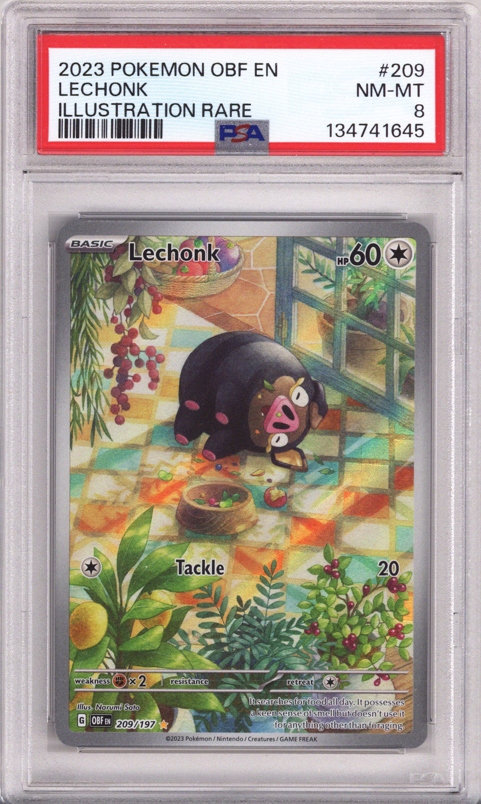Pokemon Obsidian Flames Lechonk Illustration Rare PSA Near Mint-Mint 8 (2023)