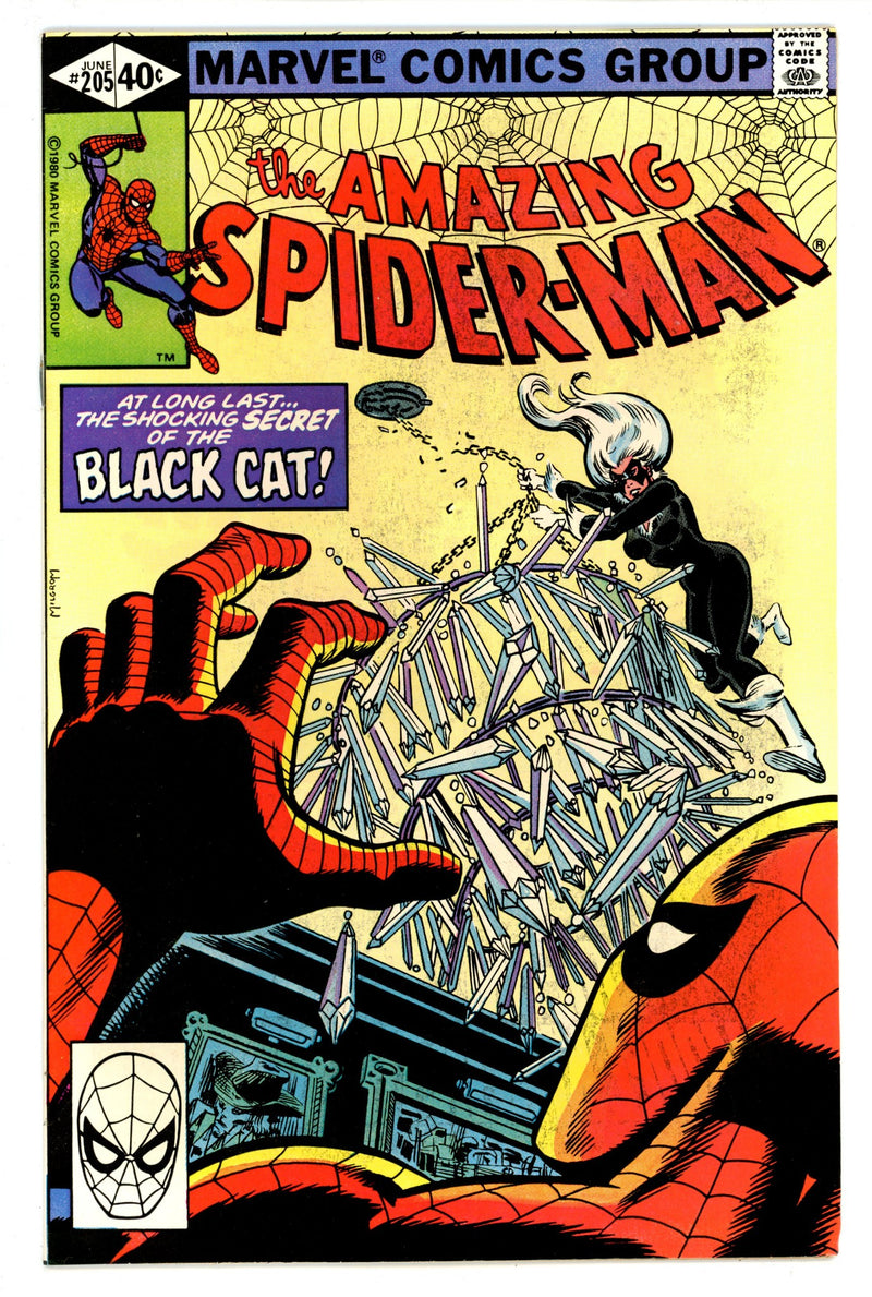 The Amazing Spider-Man Vol 1 205 VF- (7.5) (1980) 