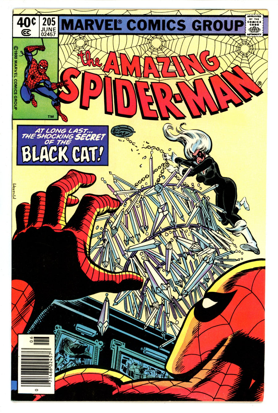 The Amazing Spider-Man Vol 1 205 FN- (5.5) (1980) Newsstand 