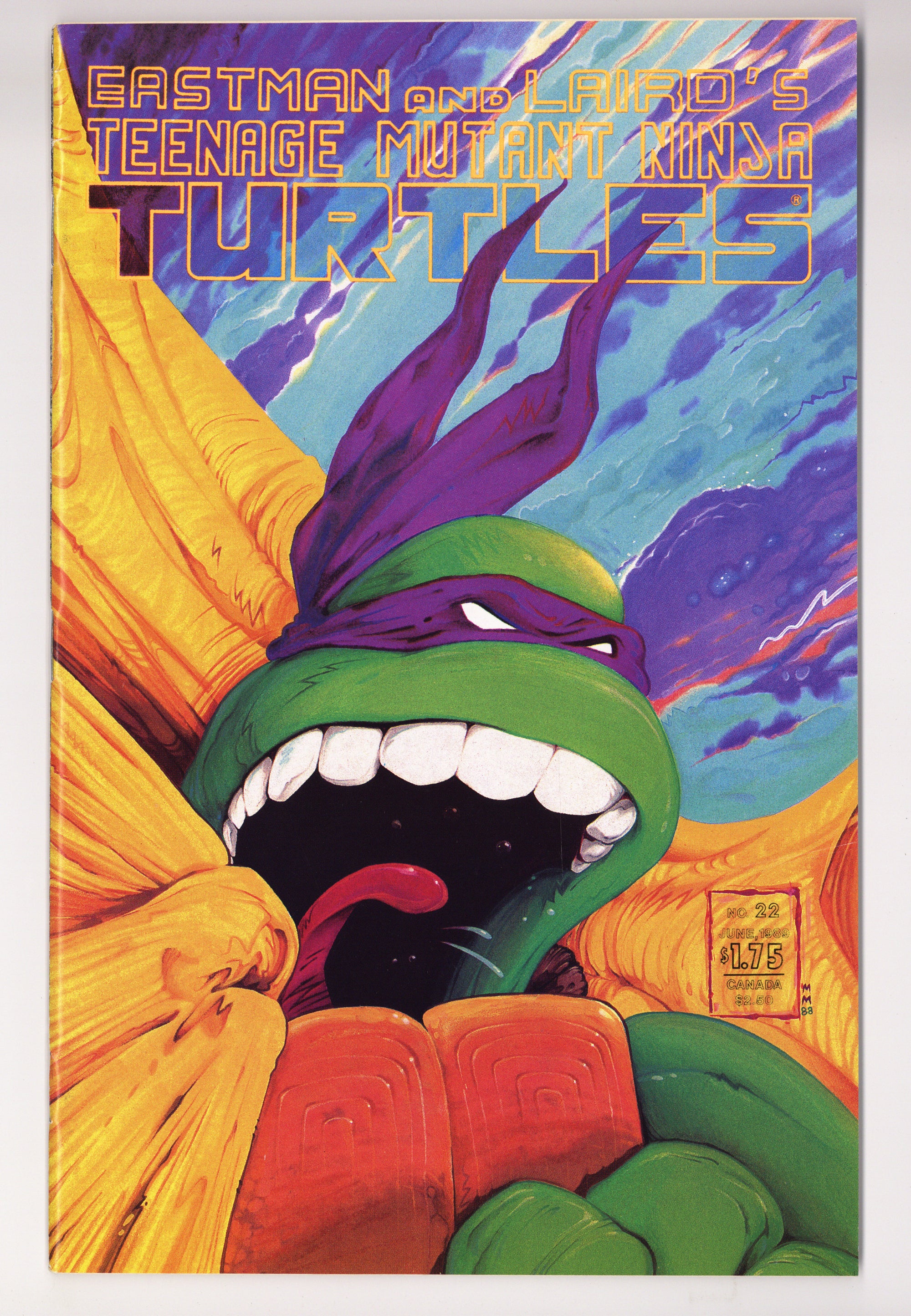 Teenage Mutant Ninja Turtles Vol 1 22  FN (6.0)   (1989)        