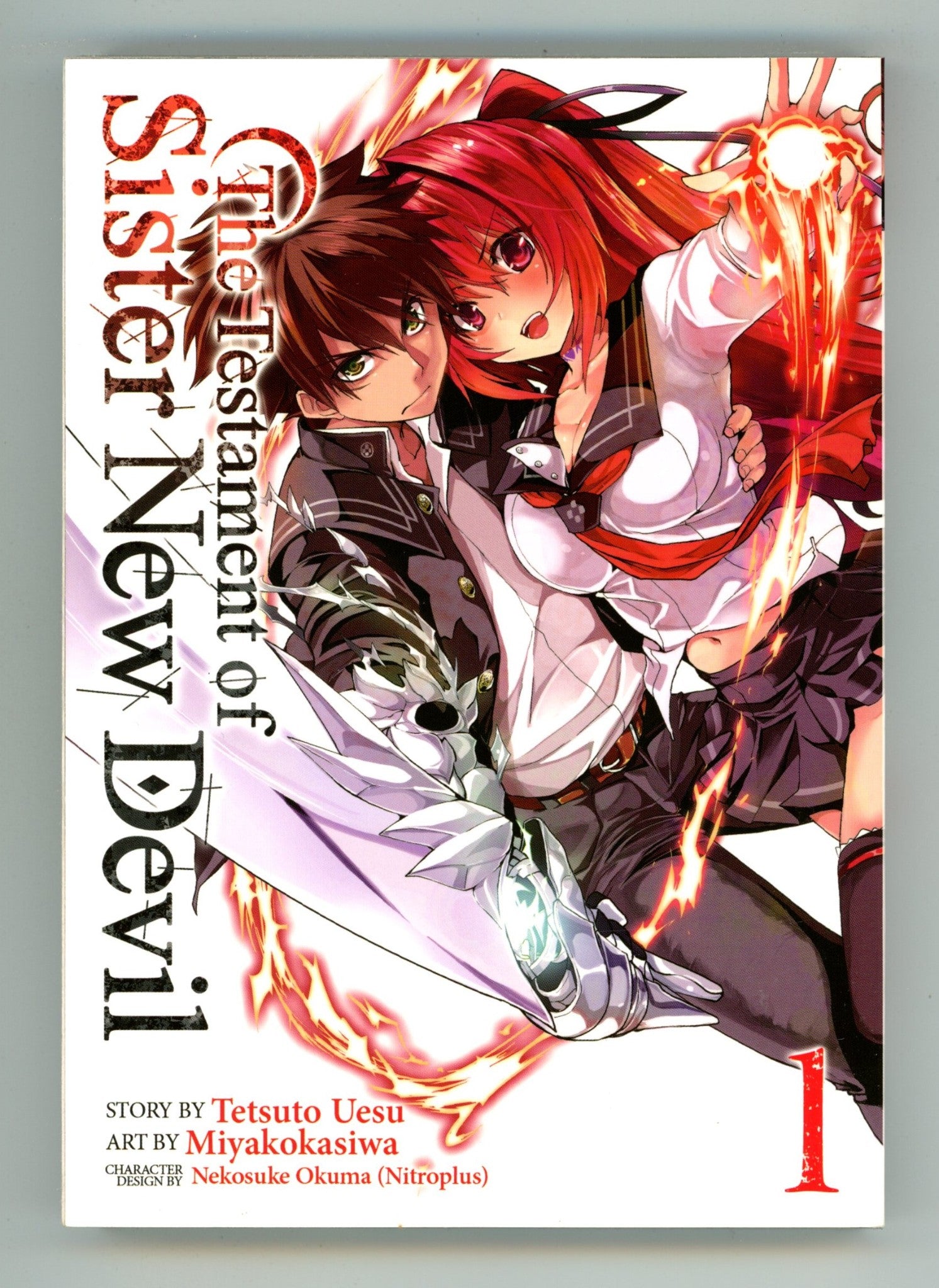 The Testament of Sister New Devil Vol 1 High Grade TPB (2016) 