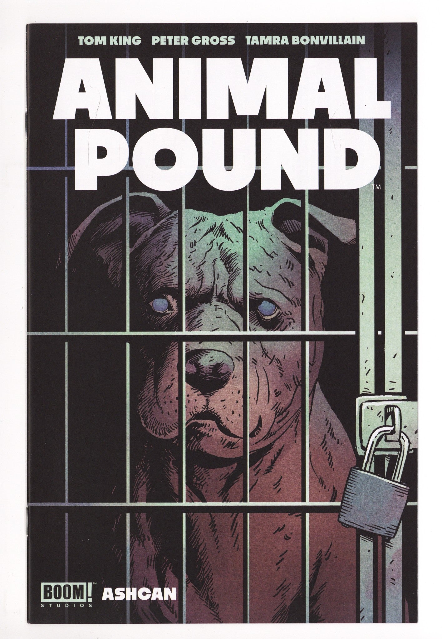 Animal Pound 1 ASHCAN High Grade (2023) 
