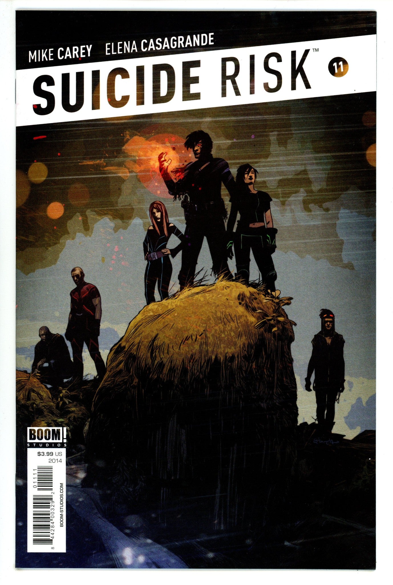 Suicide Risk 11 High Grade (2014) 