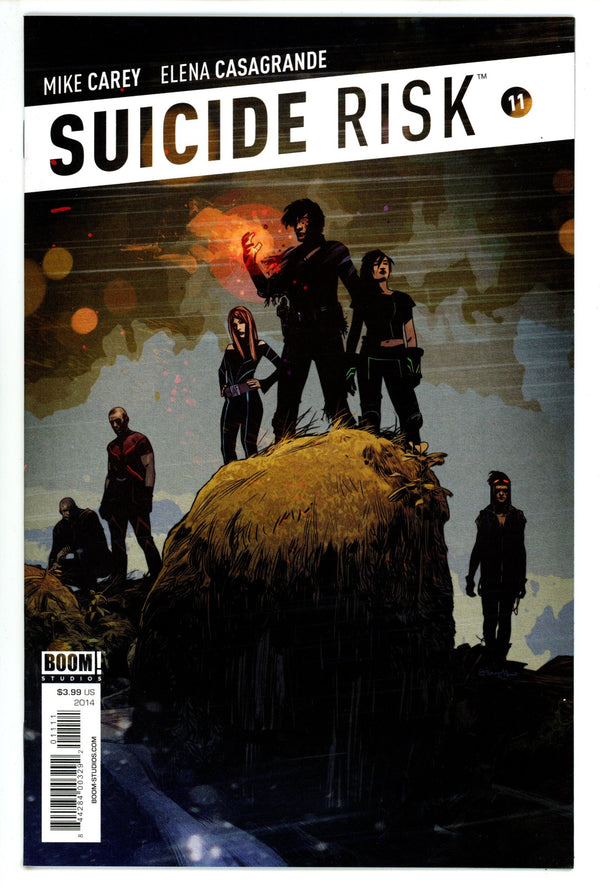 Suicide Risk 11 High Grade (2014)