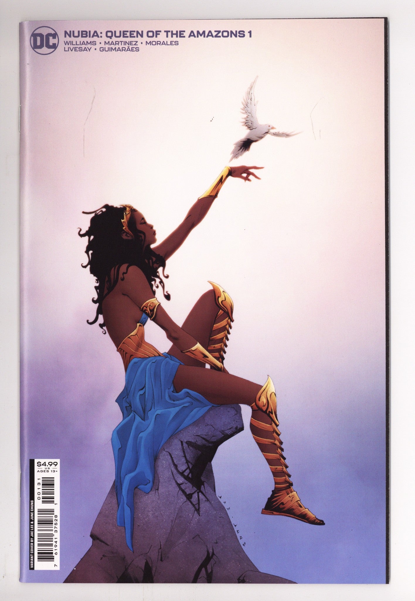 Nubia: Queen of the Amazons 1 High Grade (2022) Lee Variant 