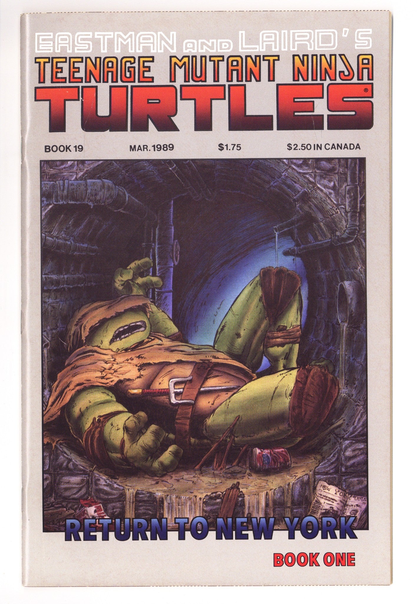 Teenage Mutant Ninja Turtles Vol 1 19 VF+ (8.5) (1989) 