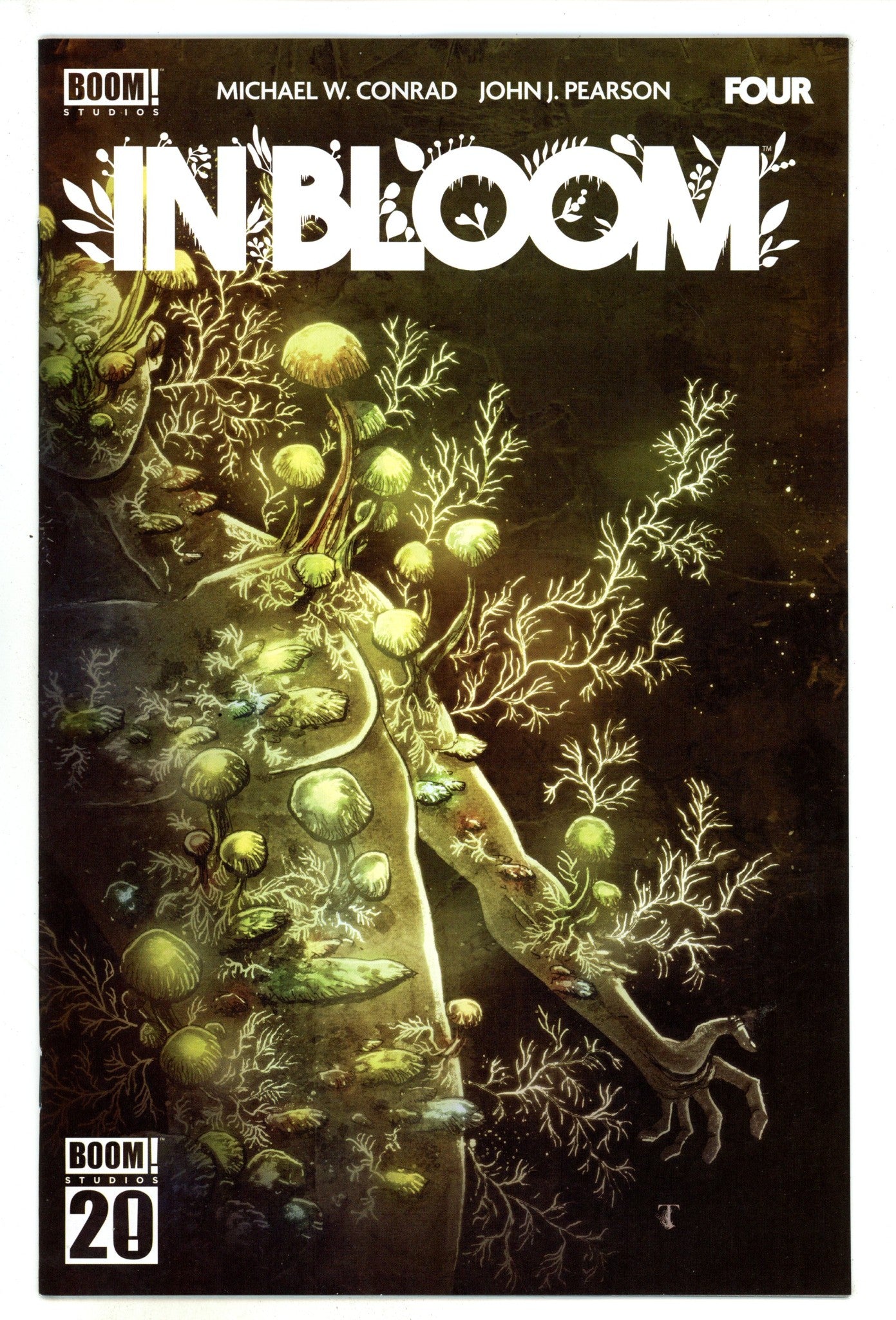 In Bloom 4 Templesmith Variant (2025)