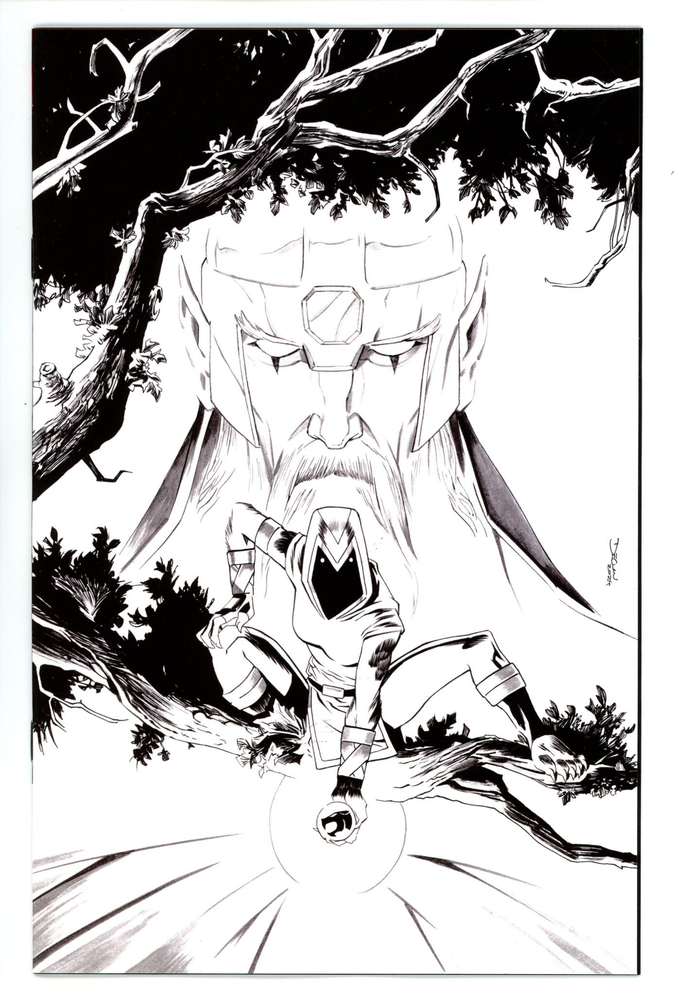 Thundercats 12 Shalvey B&W Virgin Incentive Variant NM (2025)