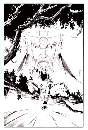 Thundercats 12 Shalvey B&W Virgin Incentive Variant NM (2025)