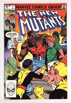 The New Teen Titans Vol 1 8 Mid Grade (1981)